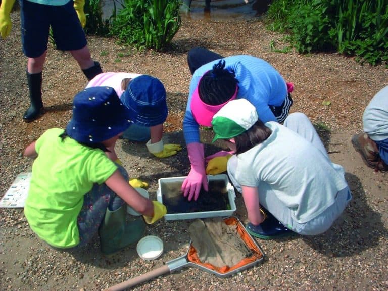 group pond dipping