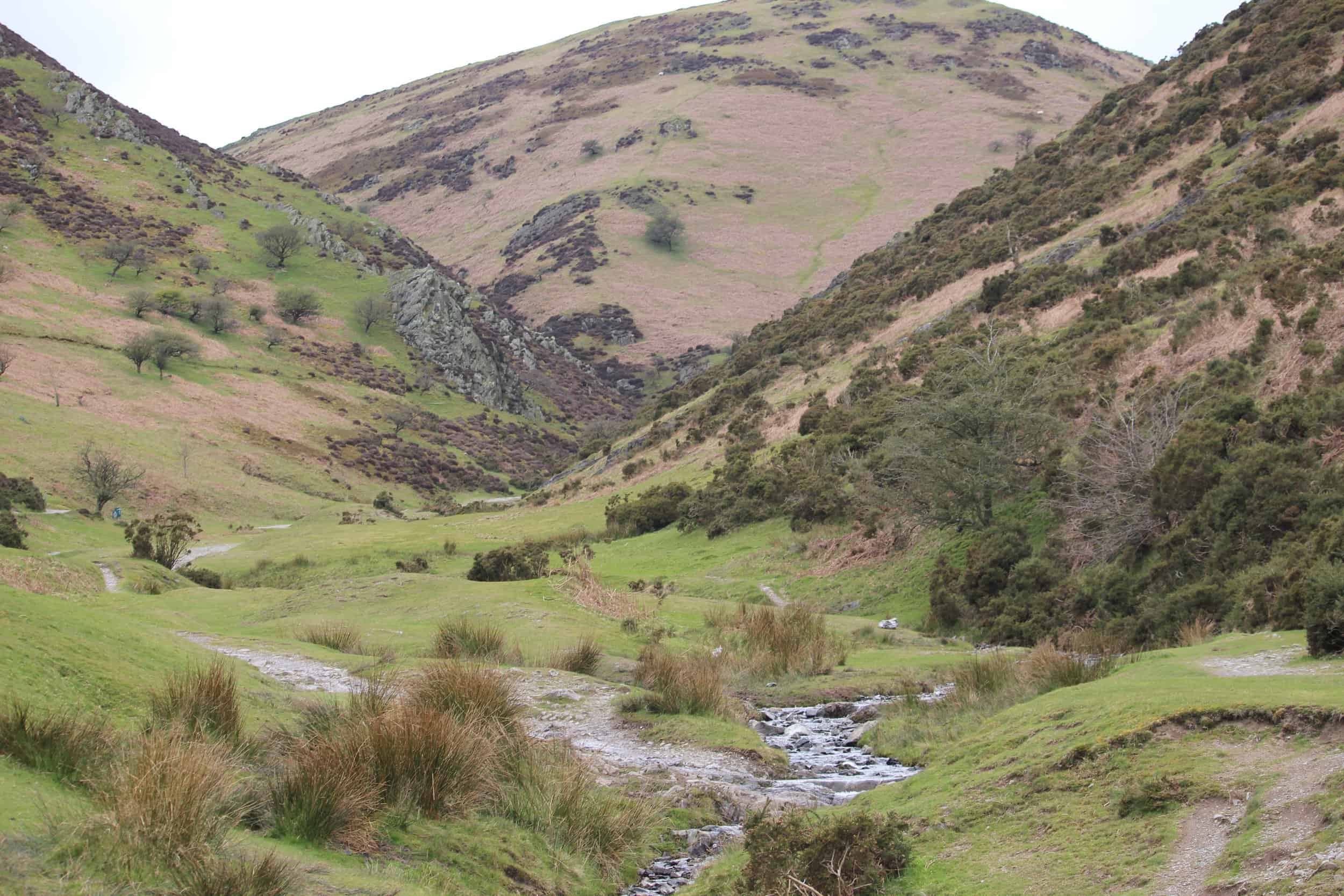 FSC BioLinks West Midlands Field Studies Council