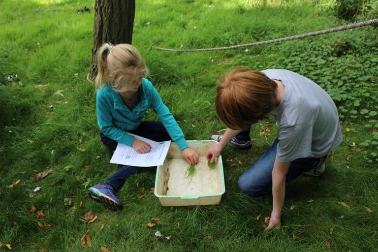 children looking at leaves