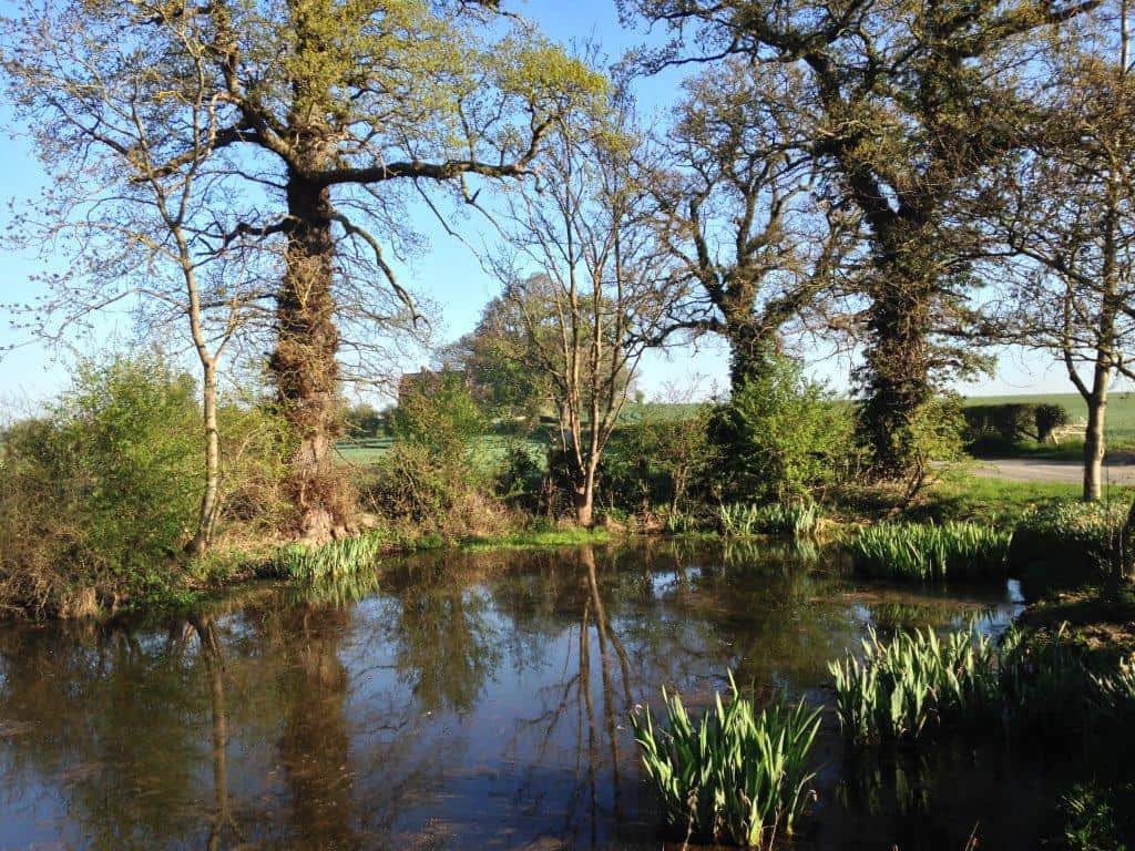 FSC BioLinks West Midlands Field Studies Council