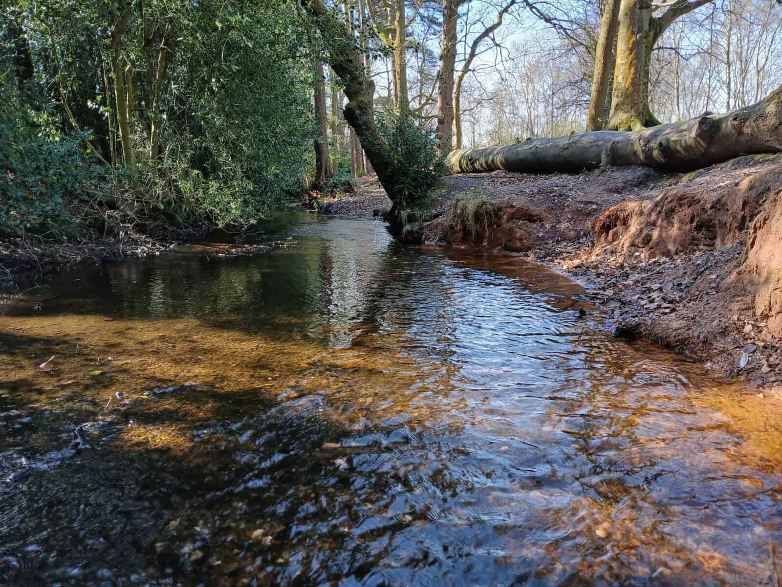 River in Sutton Park, Birmingham