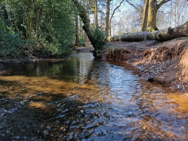 River in Sutton Park, Birmingham