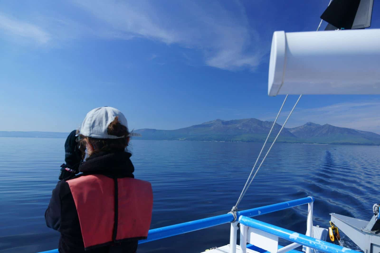 A person Cetacean watching from a boat