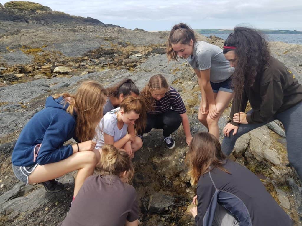 Young people on the rocky shore on a marine science camp