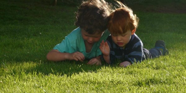 Two siblings playing in the grass