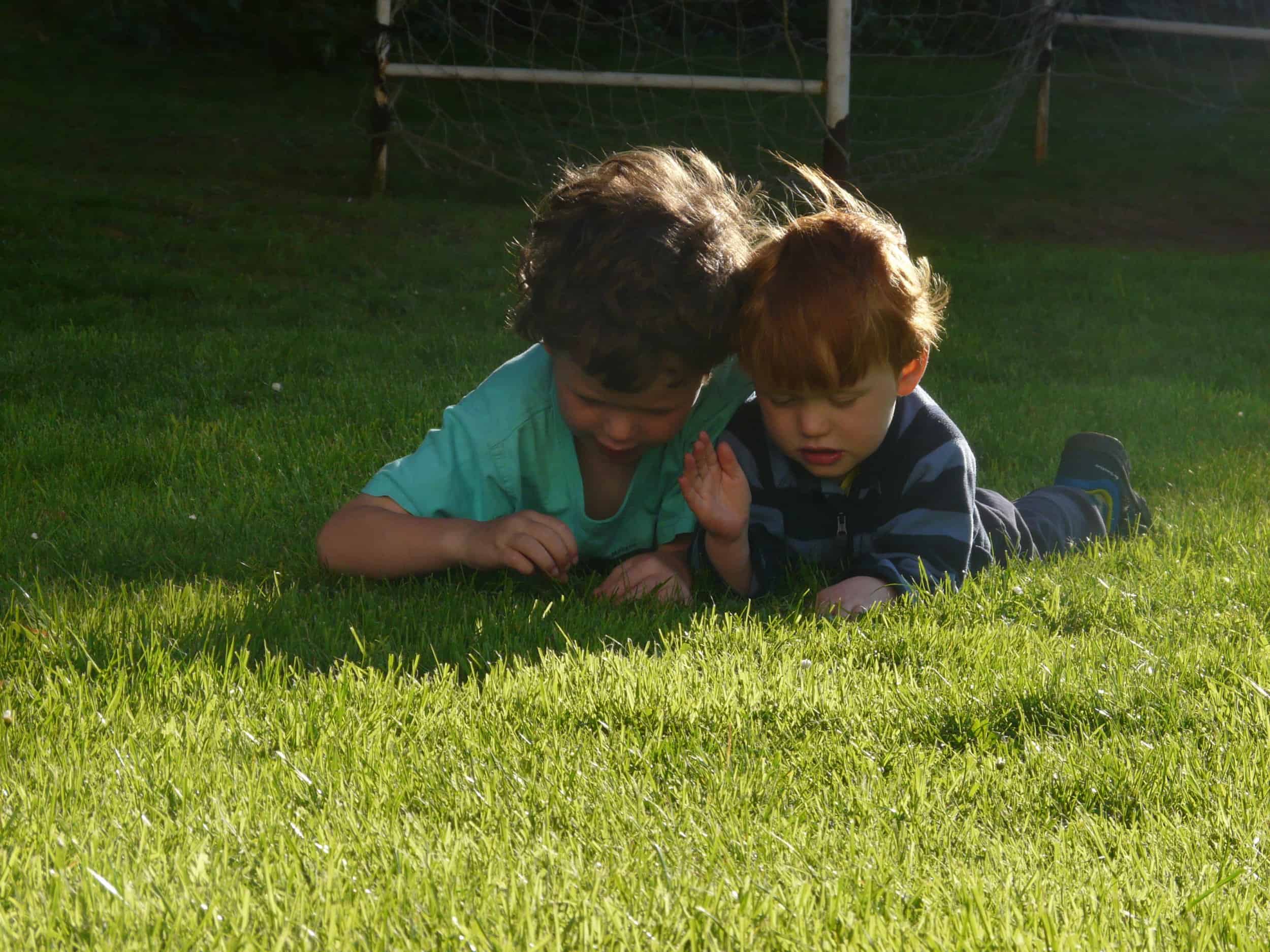 Two siblings playing in the grass