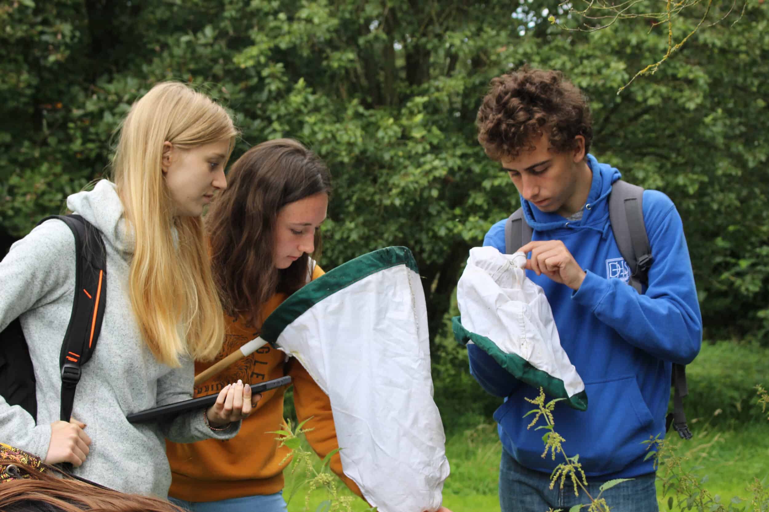 Young Darwin Scholars identifying insects