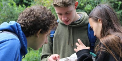 Young Darwin Scholars looking for insects