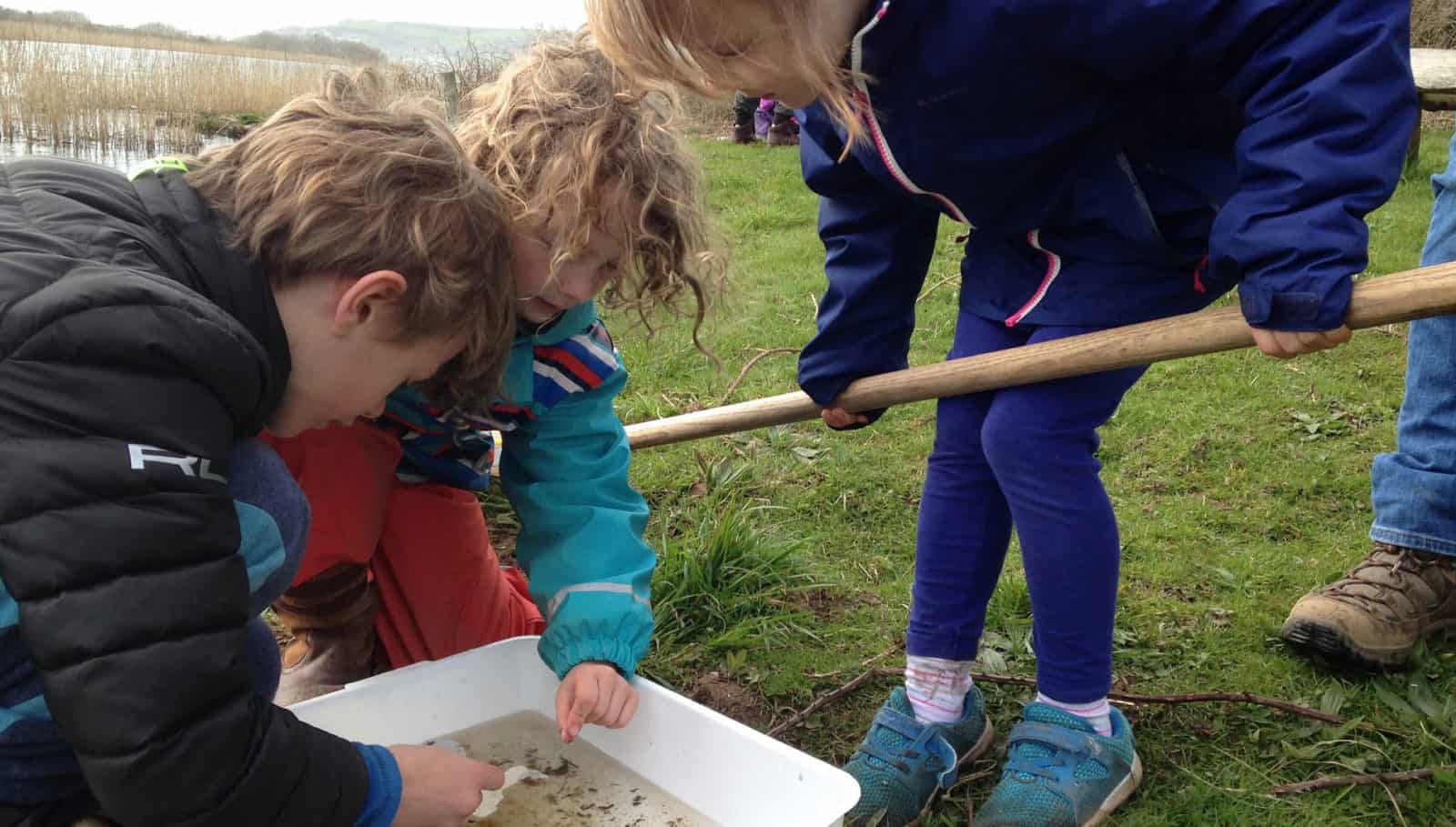 Children looking at what they have found in the freshwater lake