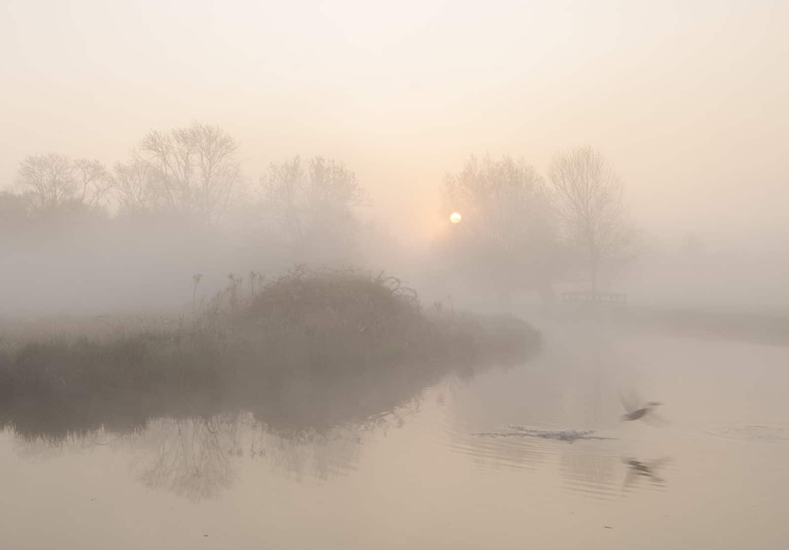 Landscape photo at Flatford Mill taken by Steve Hedges