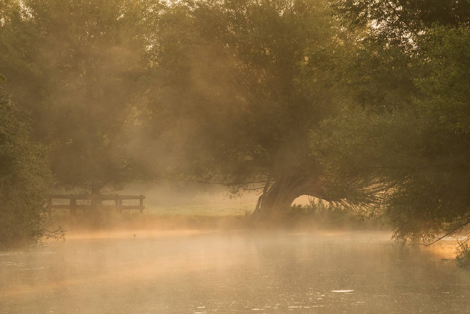 Landscape photo at Flatford Mill taken by Steve Hedges