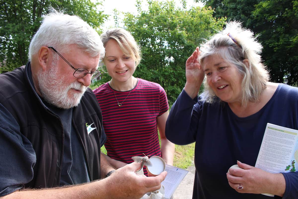 Three people looking at a moth