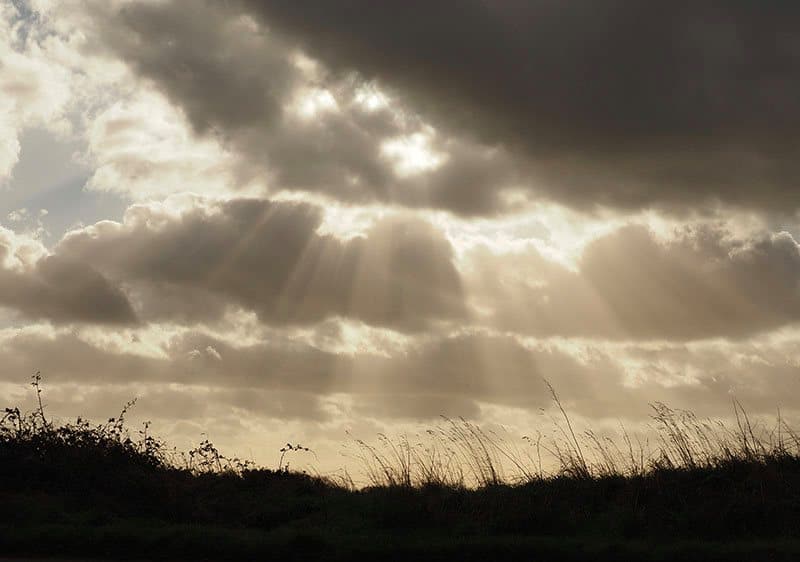 Rays of sunlight © Pamela Crawford