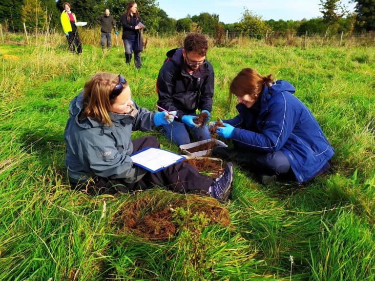 FSC BioLinks participants searching for worms