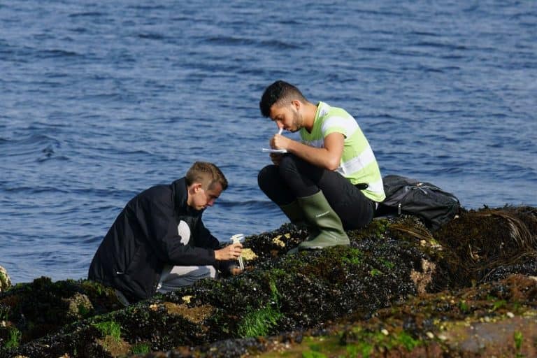 students working by sea