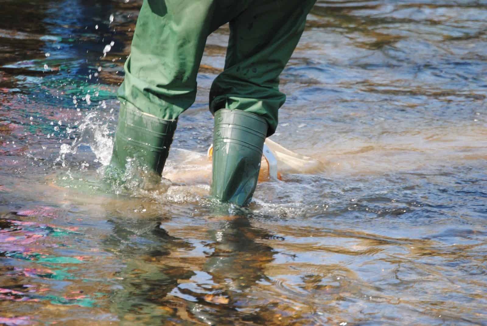 Someone walking through a river in wellington boots