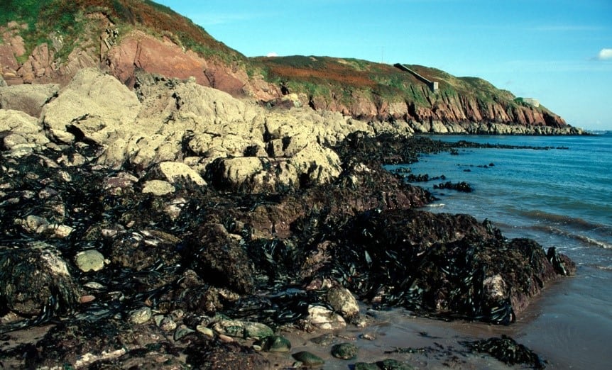 Rocky shore at low tide