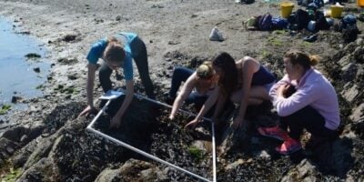 People on a rocky shore