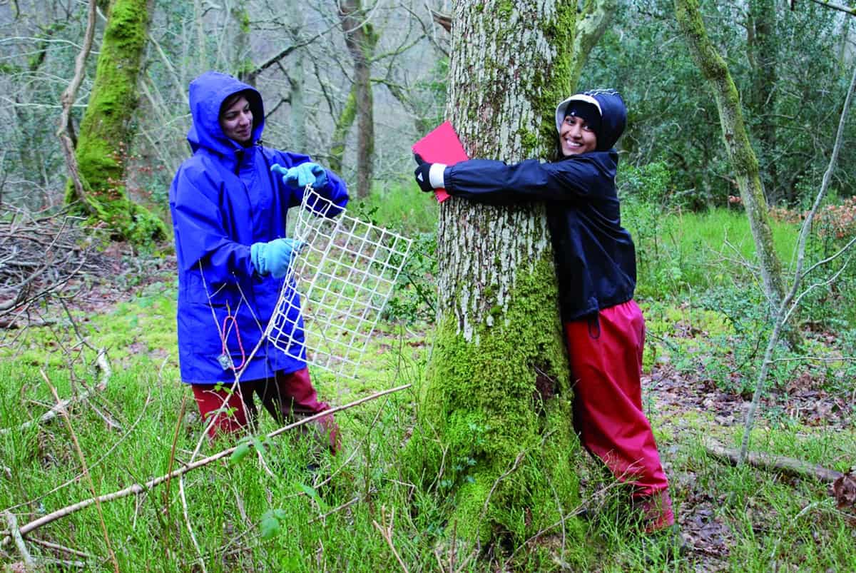 ecosystems fieldwork with trees