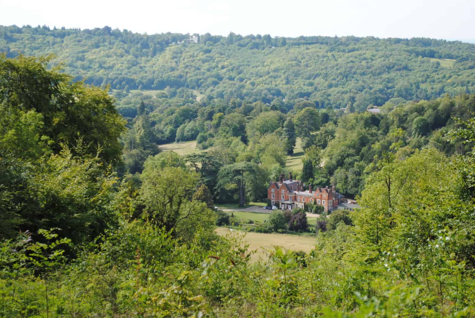 View of FSC Juniper Hall from Tower