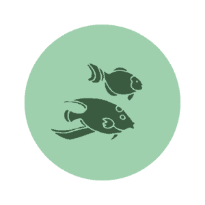 Fish icon