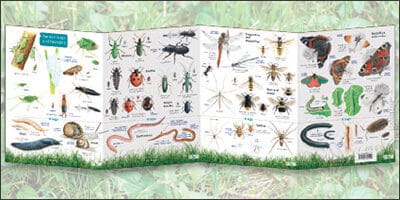 Wildlife Shop – Field Studies Council Wildlife Shop – Field Studies Council
