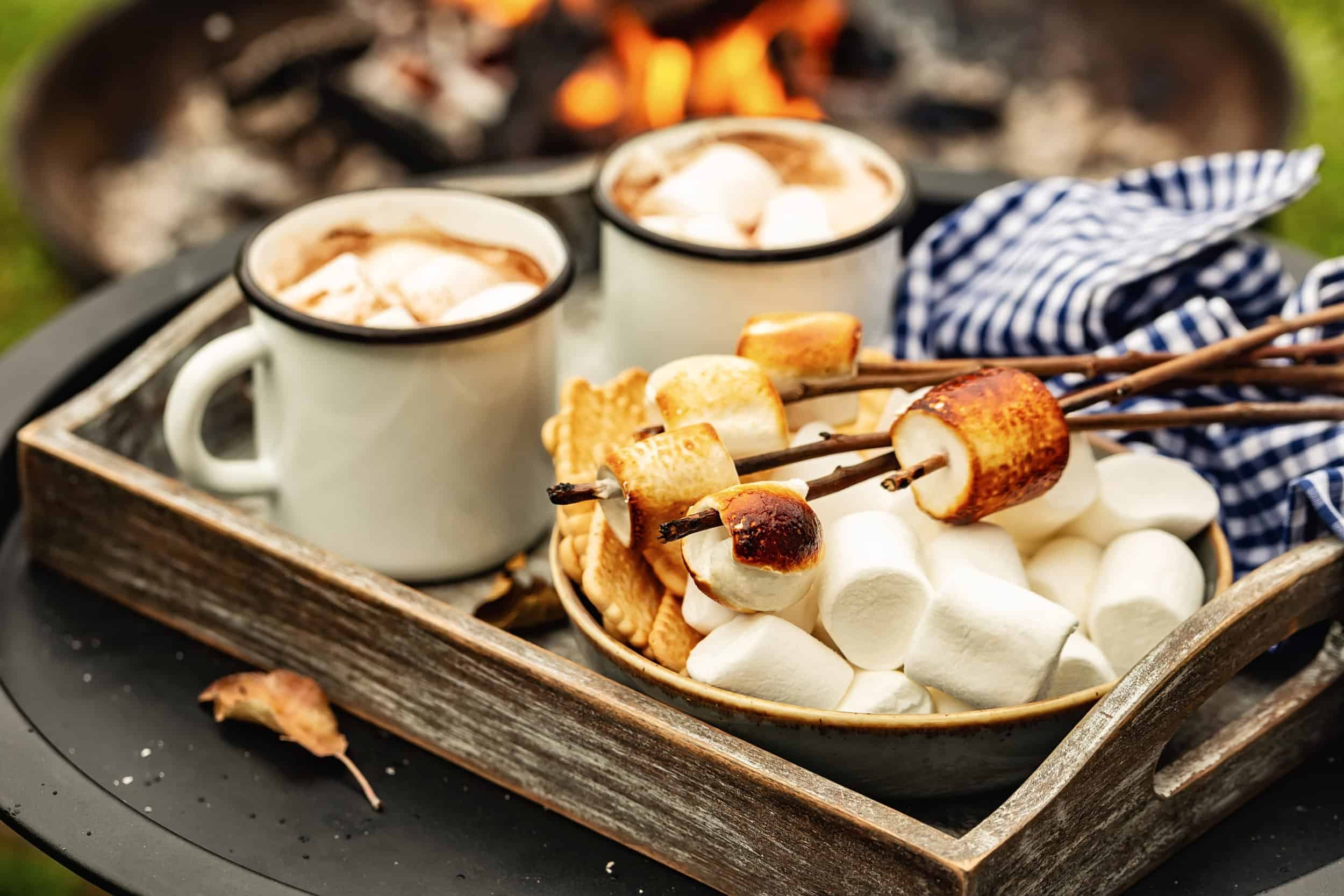 two cup of cocoa or hot chocolate and skewers of roasted marshmallows over campfire. autumn holidays outdoors treats