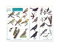 top 50 garden birds guide image