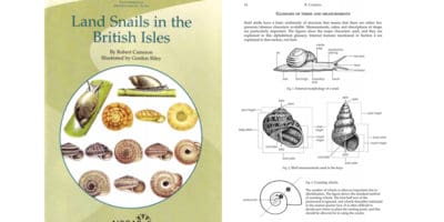 snails guide cover