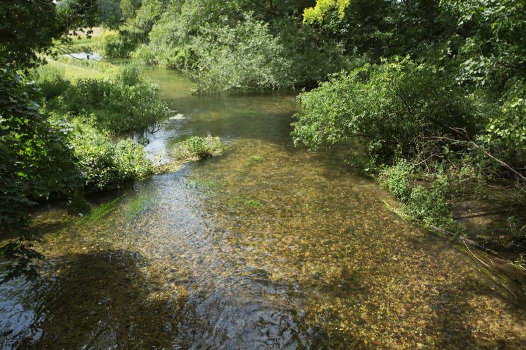 Chalk rivers guide Field Studies Council
