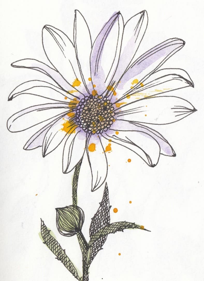 Illustration of a flower by Debora Cane