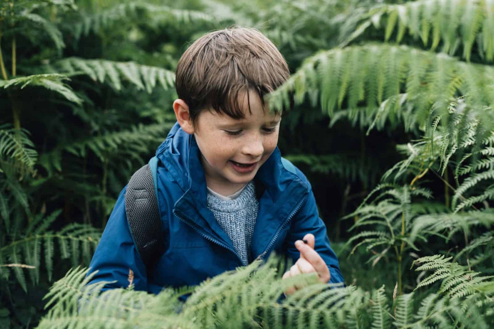 Child in fern bushes
