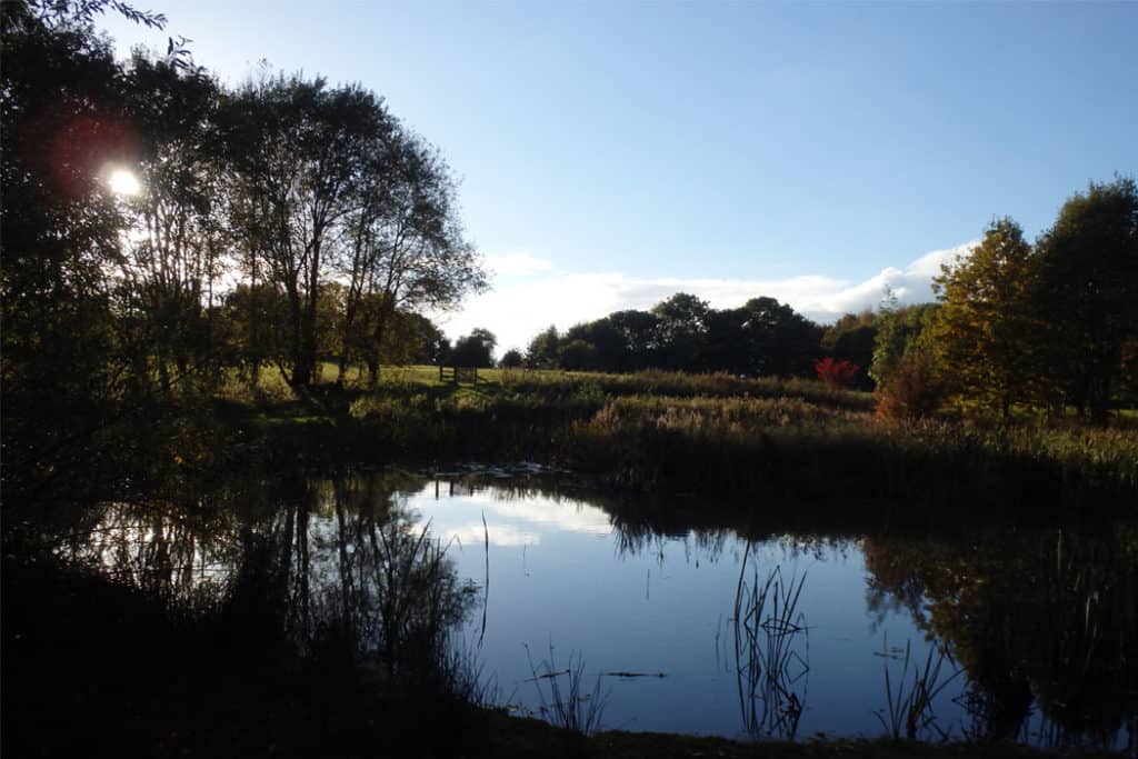 A photo of a pond at Preston Montford