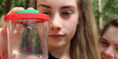 girl looking at insect