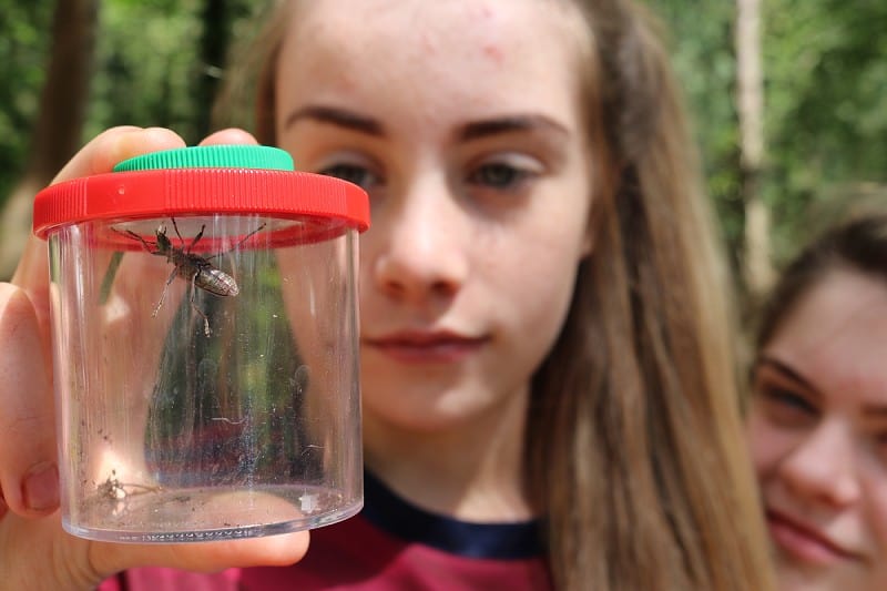 girl looking at insect