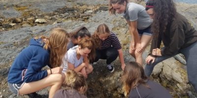 group of biology students doing fieldwork on beach