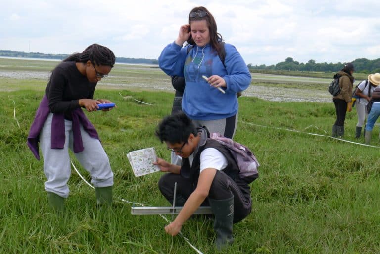 biology fieldwork group