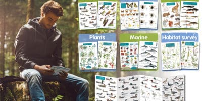 guides in free offer