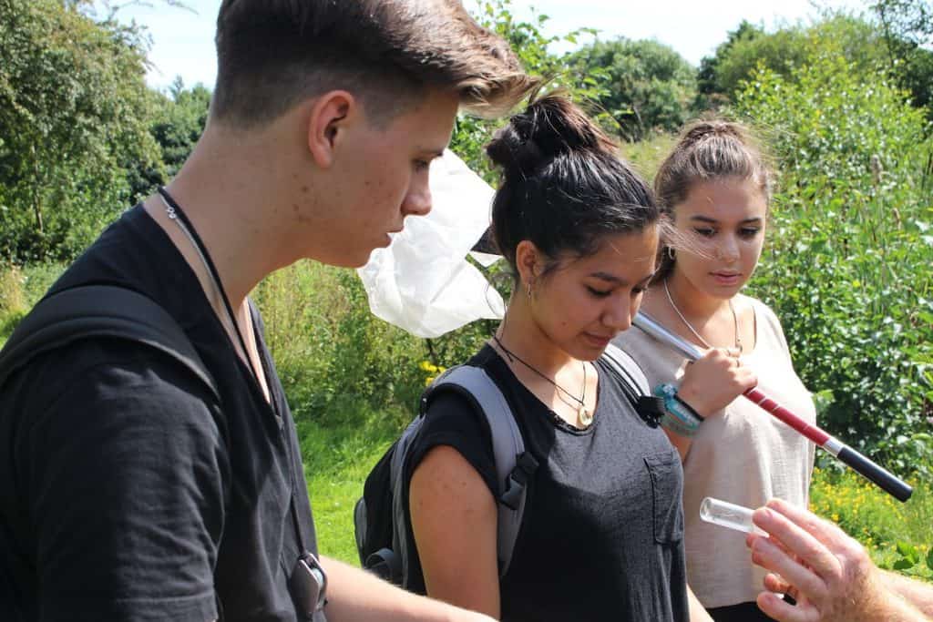 young people studying wildlife