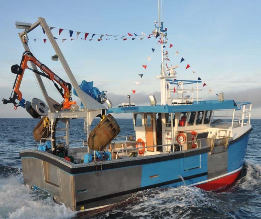 rv actinia
