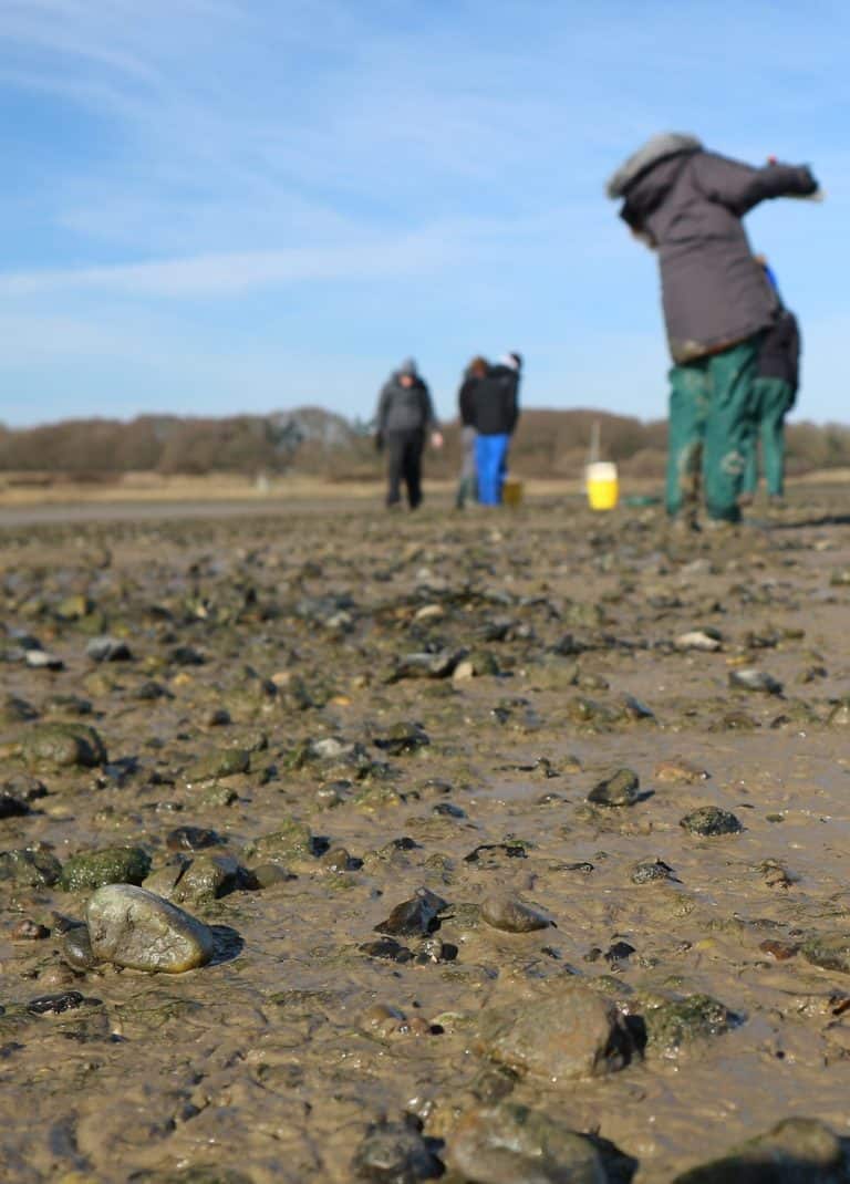 Sand and stones near the shore at Flatford