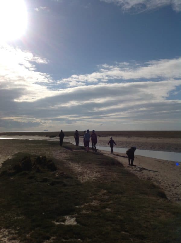 Biology degree picture