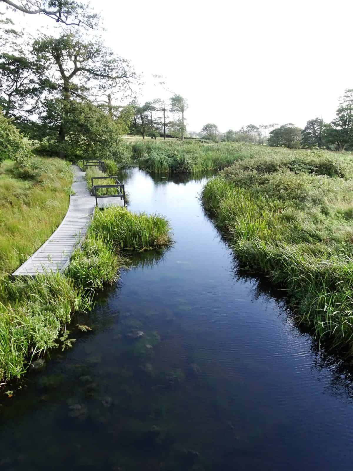 Pond dipping site at FSC Margam