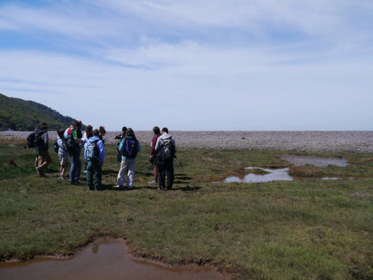 Students on grassland near the coast