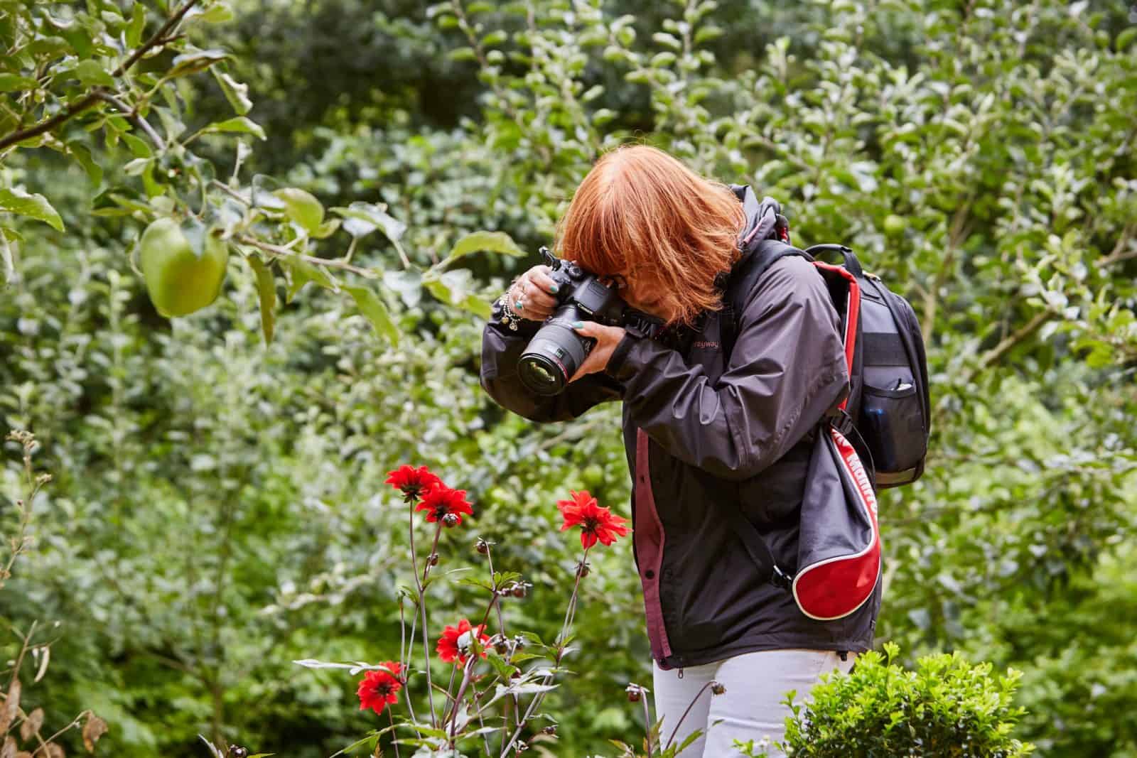 A lady taking a photograph of red flowers