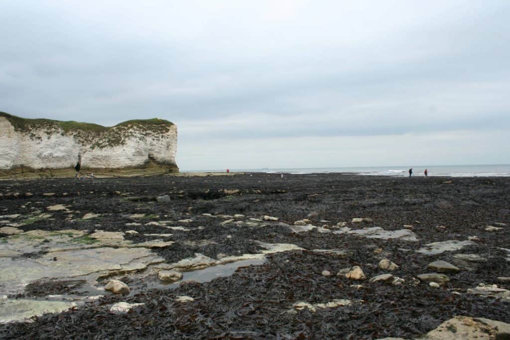 Flamborough Head