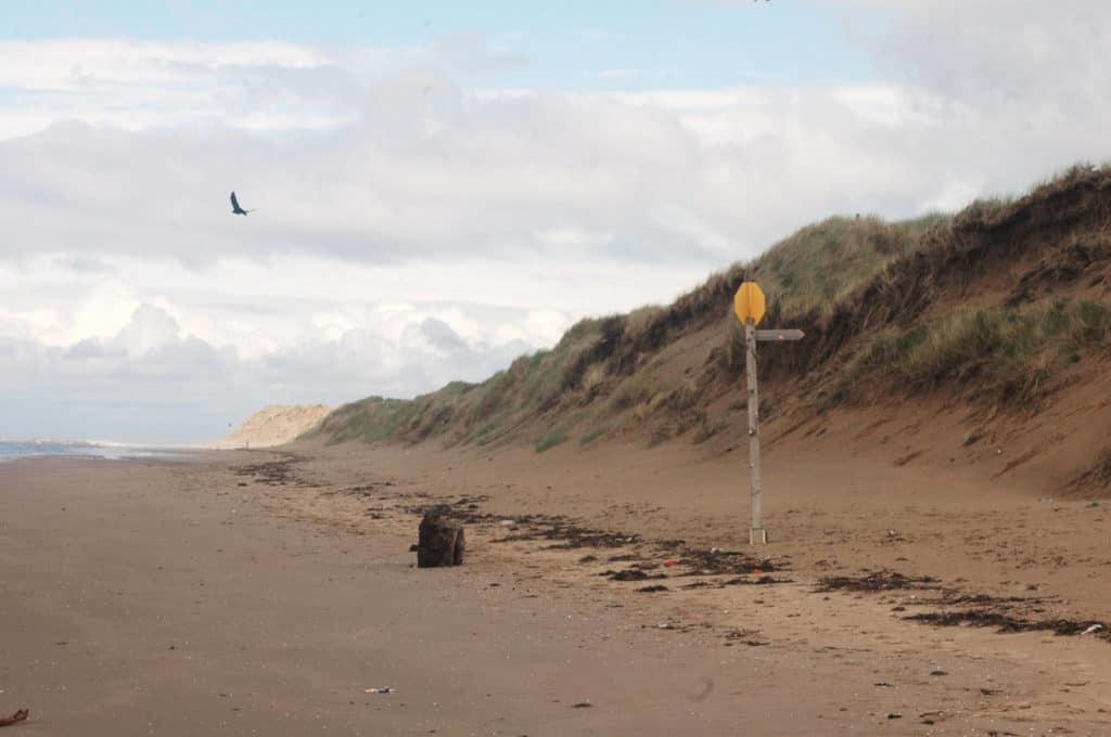 Formby Point