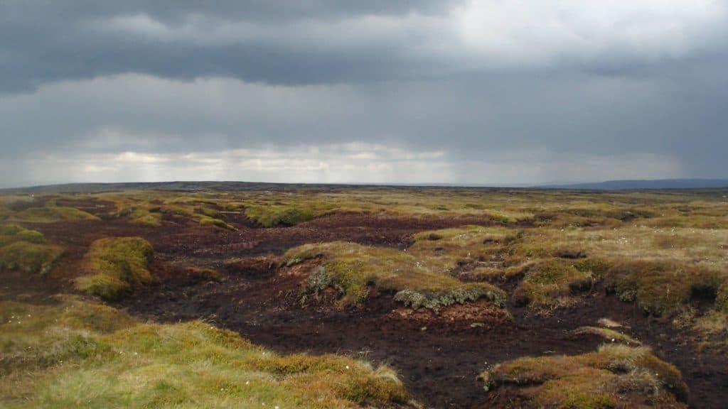 Kinder Scout