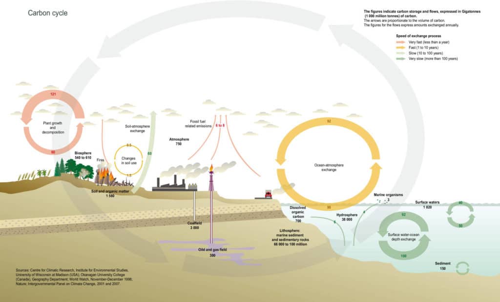 carbon cycle