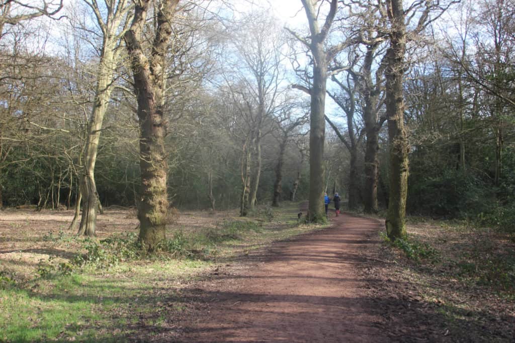 epping forest